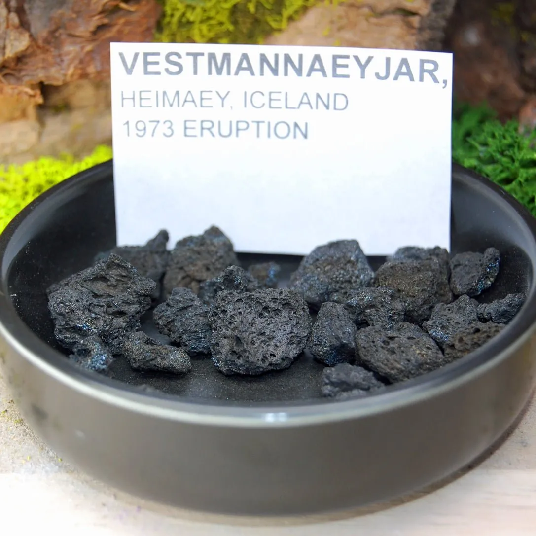 1973 Icelandic Volcanic Purple Eruption | Men's 1973 Icelandic Lava, Purple Box Elder & Titanium Wedding Ring