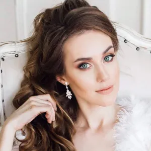 Brides Chic Crystal Wedding Earrings, Silver 7324