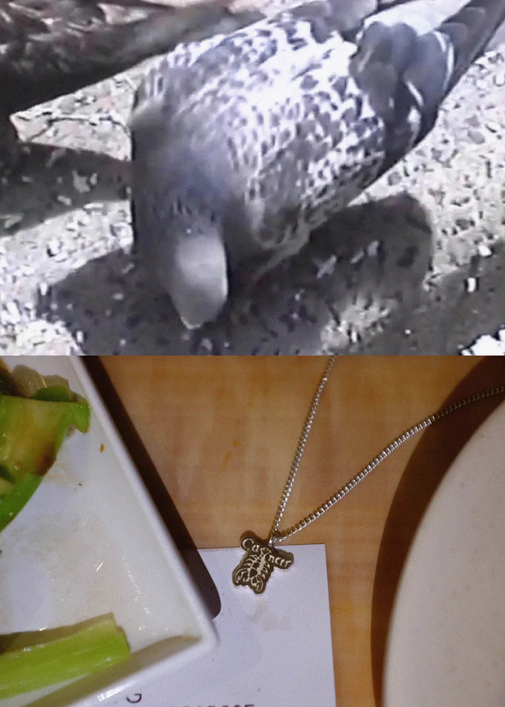 Cancer Pendant