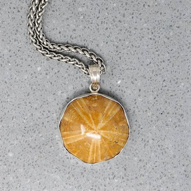 Honey-Colored Petrified Sand Dollar Pendant