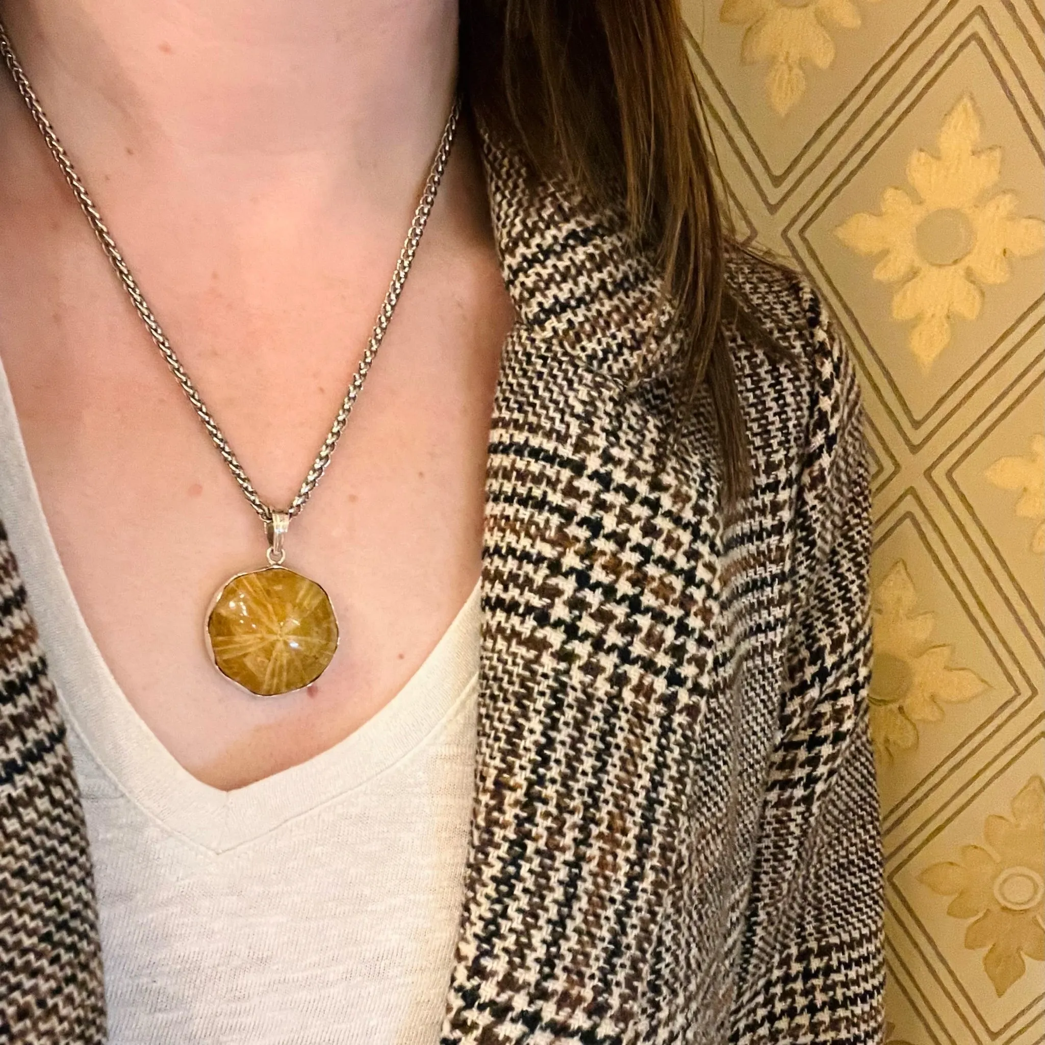 Honey-Colored Petrified Sand Dollar Pendant