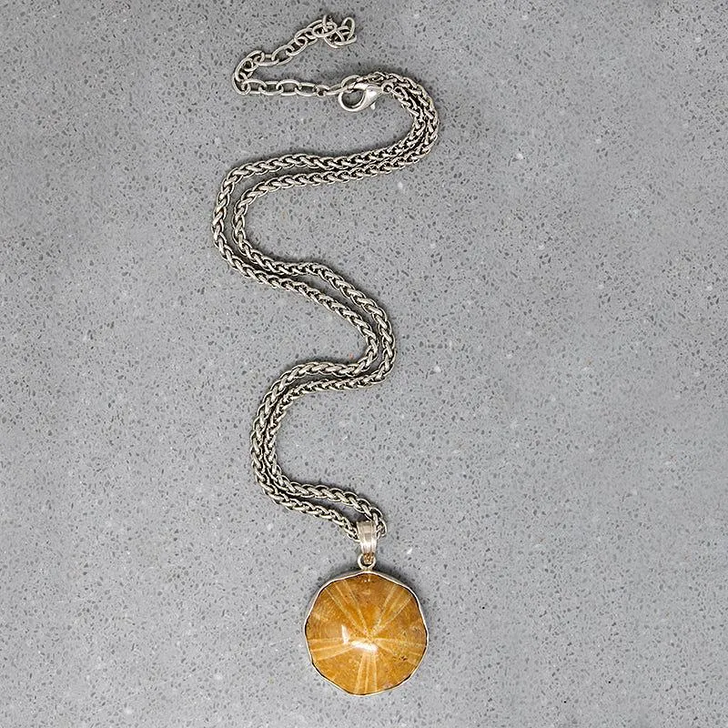 Honey-Colored Petrified Sand Dollar Pendant