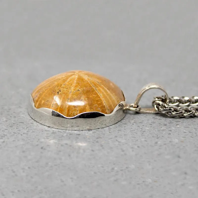 Honey-Colored Petrified Sand Dollar Pendant