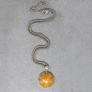 Honey-Colored Petrified Sand Dollar Pendant